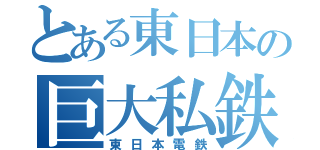 とある東日本の巨大私鉄（東日本電鉄）