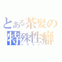 とある茶髪の特殊性癖（シスコン）