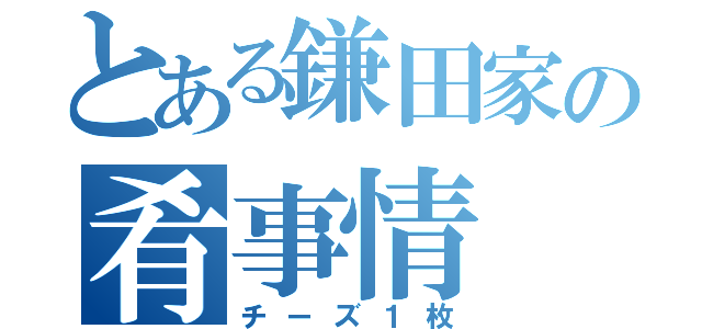 とある鎌田家の肴事情（チーズ１枚）