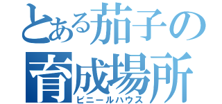 とある茄子の育成場所（ビニールハウス）