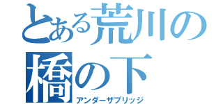 とある荒川の橋の下（アンダーザブリッジ）