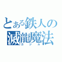 とある鉄人の滅龍魔法（ガジル）