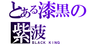 とある漆黒の紫菠（ＢＬＡＣＫ ＫＩＮＧ）