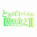 とある白バイの葛原金之助Ⅱ（葛原金之助）