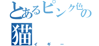 とあるピンク色の猫（イギー）