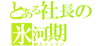 とある社長の氷河期（新入シャイン）