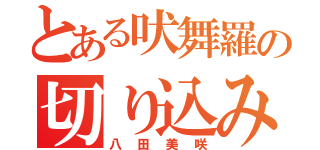 とある吠舞羅の切り込み隊長（八田美咲）