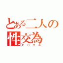 とある二人の性交為（セ○クス）