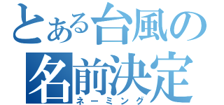 とある台風の名前決定（ネーミング）