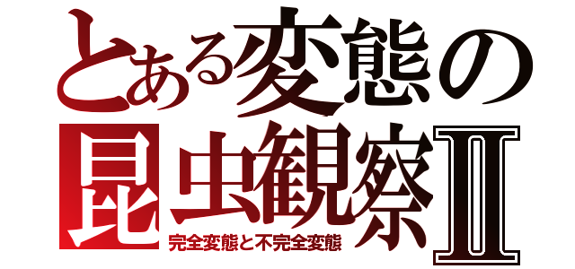 とある変態の昆虫観察Ⅱ（完全変態と不完全変態）