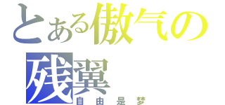 とある傲气の残翼（自由是梦）