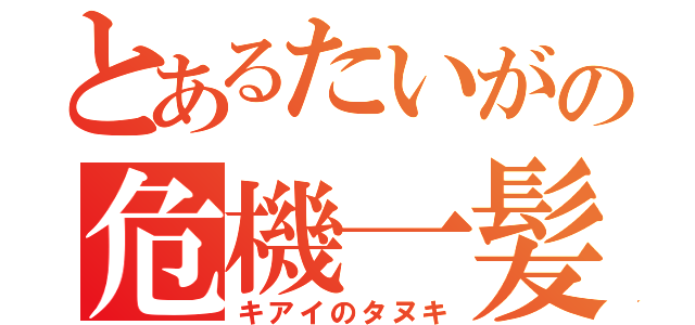 とあるたいがの危機一髪（キアイのタヌキ）