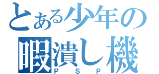 とある少年の暇潰し機（ＰＳＰ）