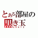 とある部屋の黒き玉（ＧＡＮＴＺ）