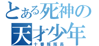 とある死神の天才少年（十番隊隊長）