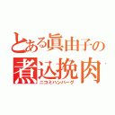 とある眞由子の煮込挽肉（ニコミハンバーグ）