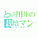 とある川井の栽培マン（くさいぜ笑）