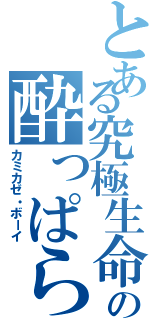 とある究極生命体の酔っぱらい（カミカゼ・ボーイ）