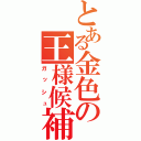 とある金色の王様候補（ガッシュ）