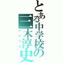 とある中学校の三木淳史Ⅱ（ハゲマル）