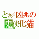 とある凶兆の鬼使化猫（橙）