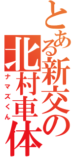 とある新交の北村車体（ナマズくん）