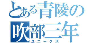 とある青陵の吹部三年（ユニークス）