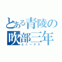 とある青陵の吹部三年（ユニークス）