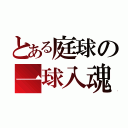 とある庭球の一球入魂（）