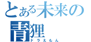 とある未来の青狸（ドラえもん）