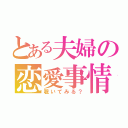 とある夫婦の恋愛事情（覗いてみる？）