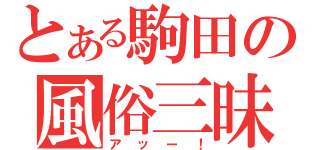 とある駒田の風俗三昧（アッー！）