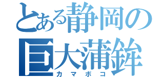 とある静岡の巨大蒲鉾（カマボコ）