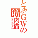 とあるＧＷの筋肉猫（まっするきゃっと）