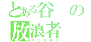 とある谷の放浪者（スナフキン）