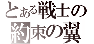 とある戦士の約束の翼（）