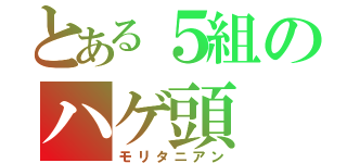 とある５組のハゲ頭（モリタニアン）