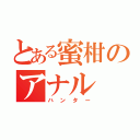 とある蜜柑のアナル（ハンター）