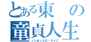 とある東の童貞人生（ノンセックス・ライフ）