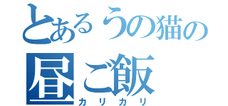 とあるうの猫の昼ご飯（カリカリ）
