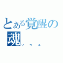 とある覚醒の魂（ソウル）