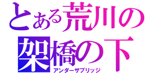 とある荒川の架橋の下（アンダーザブリッジ）