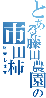 とある藤田農園の市田柿（販売します）