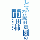 とある藤田農園の市田柿（販売します）