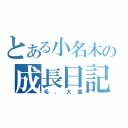 とある小名木の成長日記（毛、大量）