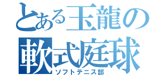 とある玉龍の軟式庭球（ソフトテニス部）