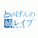 とあるげんの姉レイプ（童貞卒業）