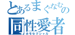 とあるまぐなむの同性愛者（ホモセクシャル）