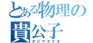 とある物理の貴公子（タジマタケオ）