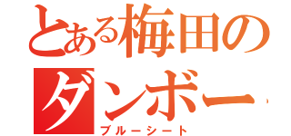 とある梅田のダンボール（ブルーシート）